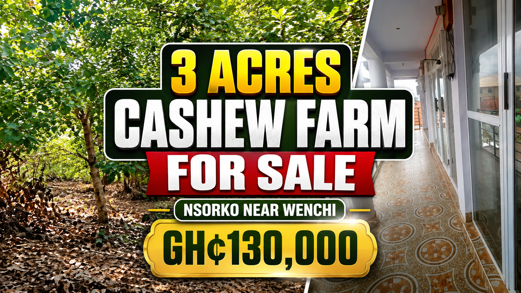 3-Acre Cashew Farm for Sale at Nsorko, Near Wenchi