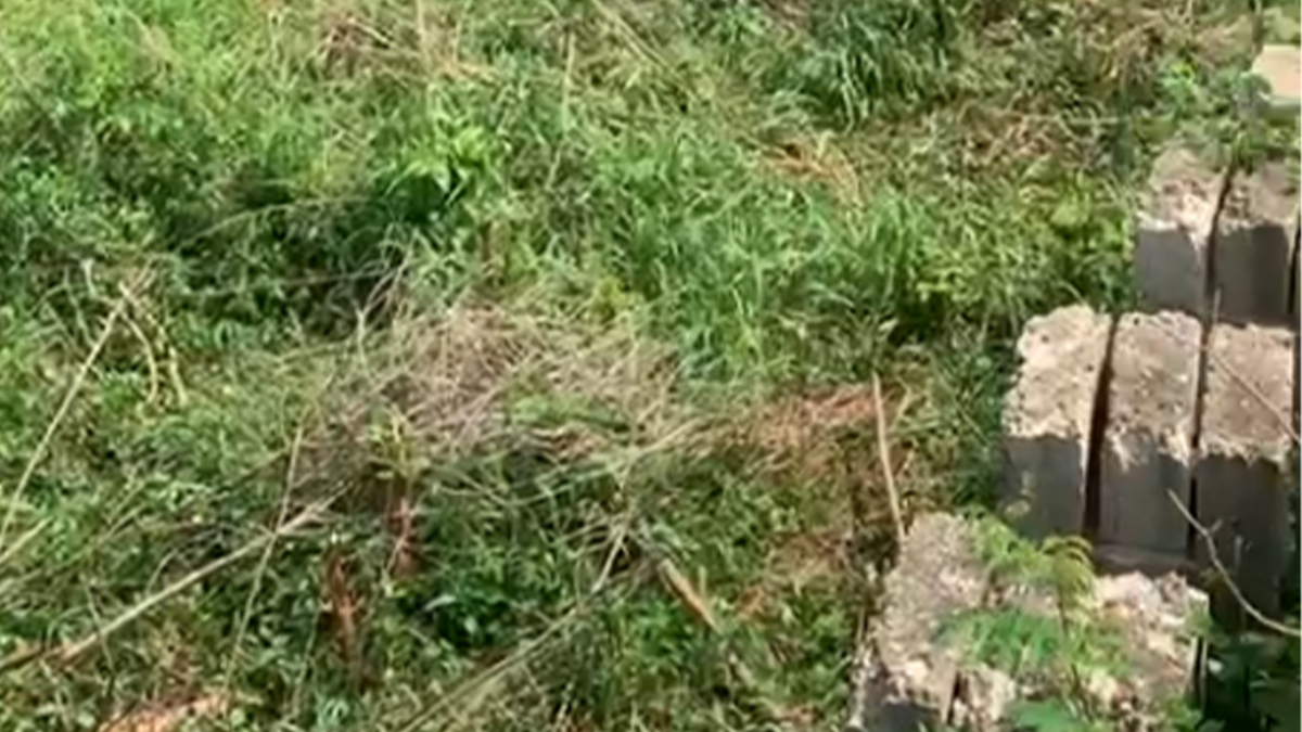 Prime Land for Sale with over 5000 Block