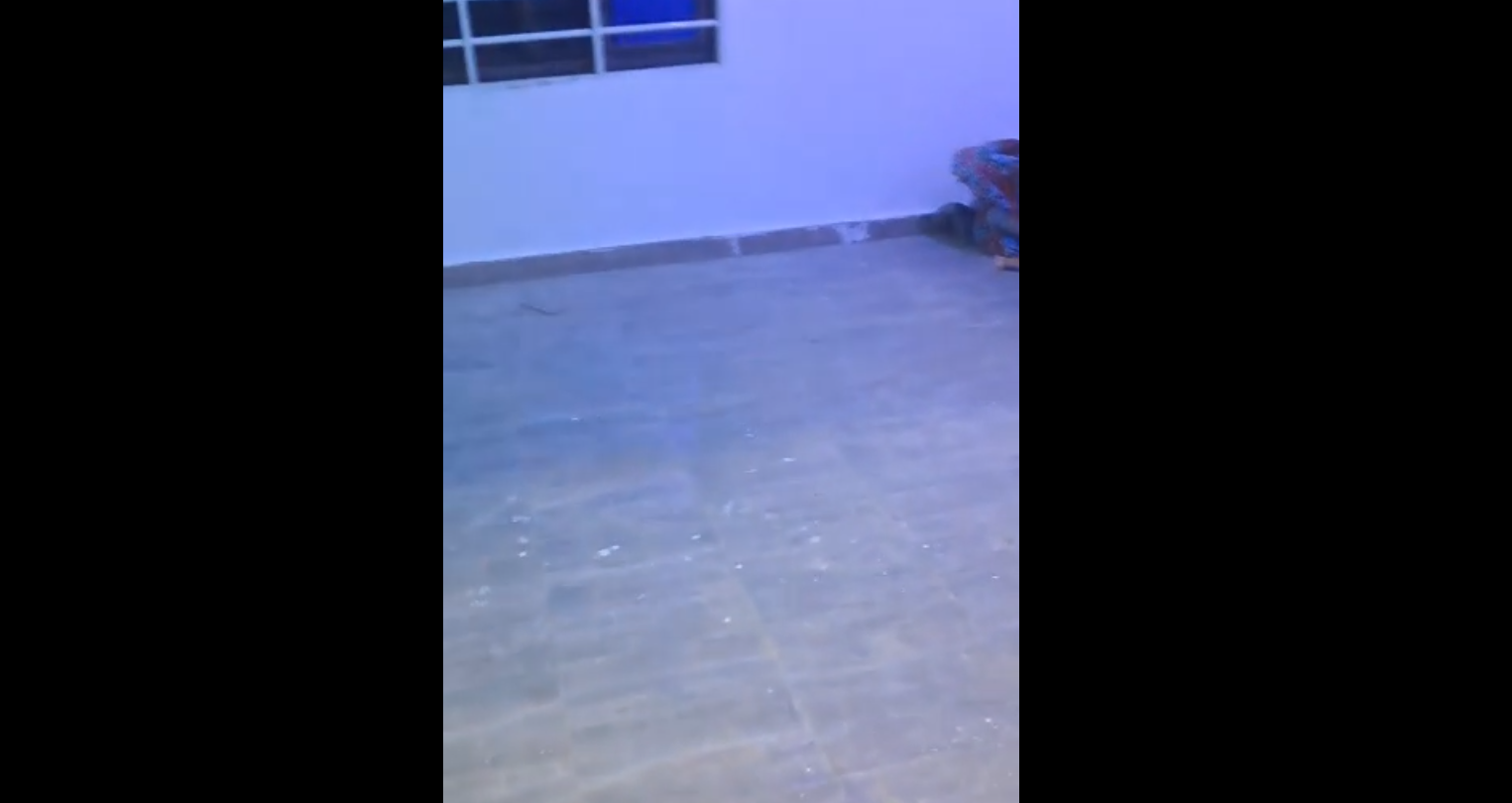 Single Room Self-Contained