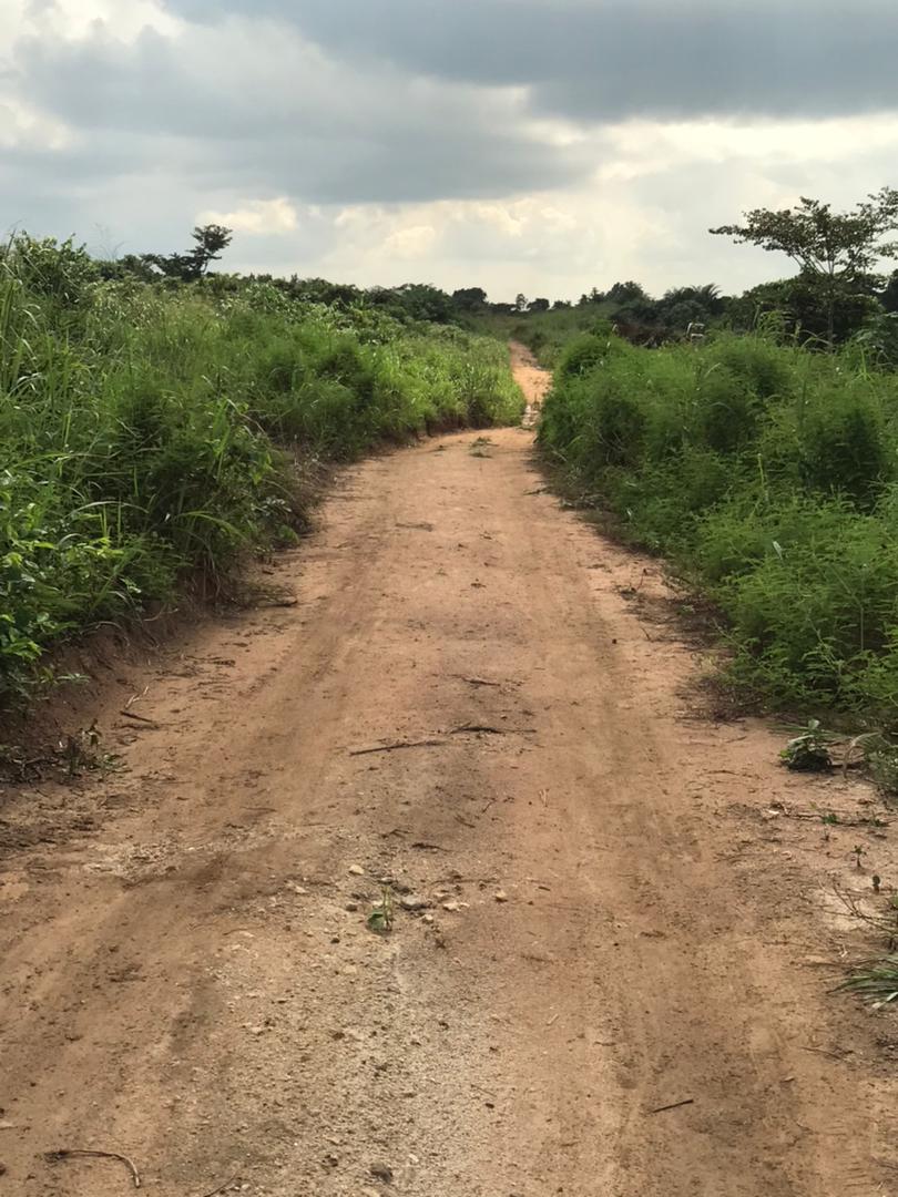 Land for Sale at Tanoso (Near 1D1F Area) in Tanoso, Near 1 District 1 Factory Area