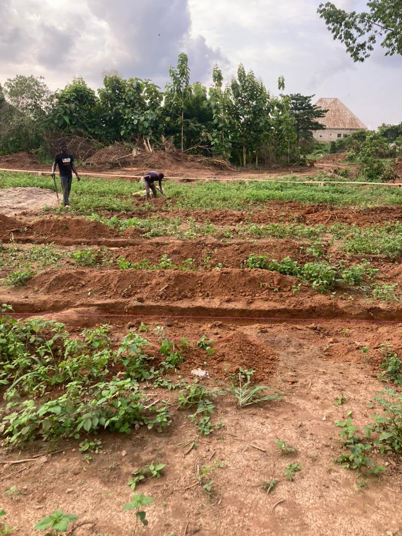 Residential Plot for Sale at Berlin Top in Berlin Top, Sunyani